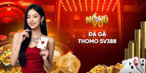 Đá gà Thomo SV388: Những điều cần biết ở sân chơi gà ĐNA